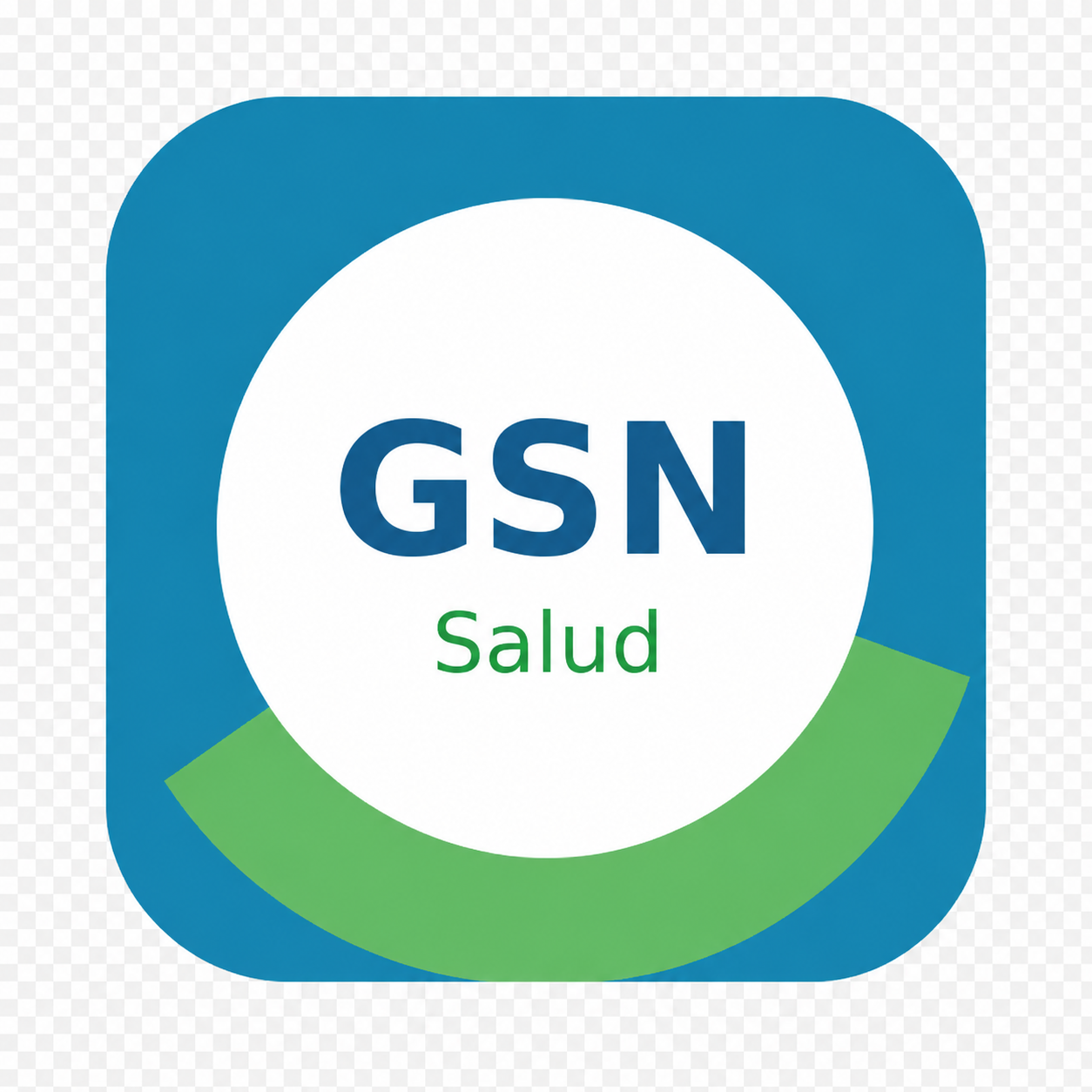 Logo Grupo San Nicolás